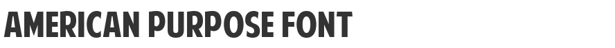 American Purpose Font