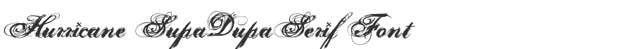 Hurricane SupaDupaSerif Font