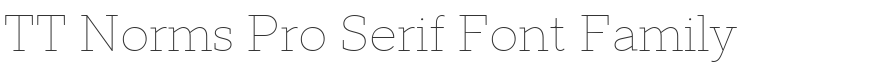 TT Norms Pro Serif Font Family