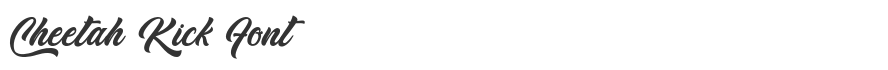 Cheetah Kick Font