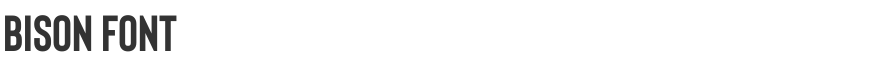 Bison Font