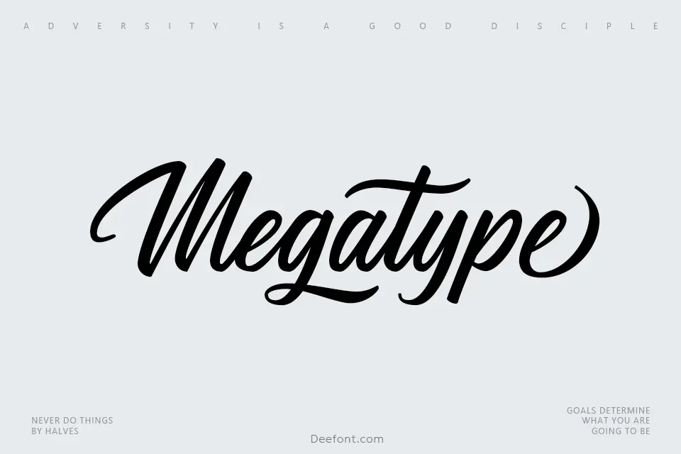Megatype Script Font