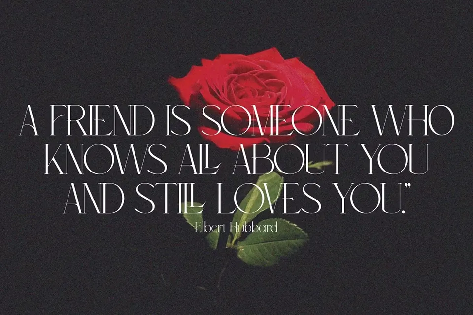 meroona_display_serif