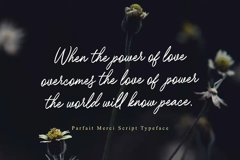Parfait Merci Font