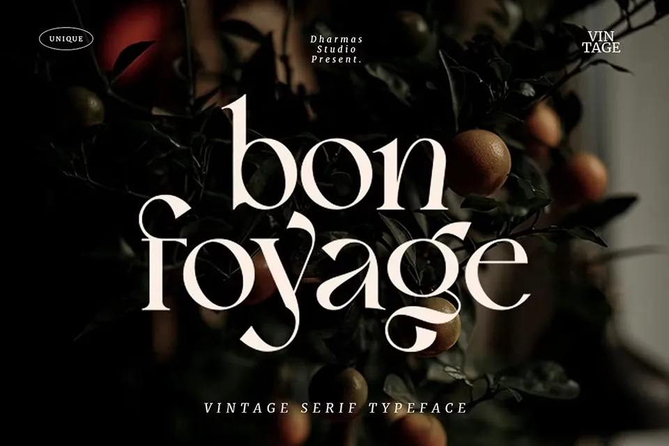Bon Foyage Serif Font