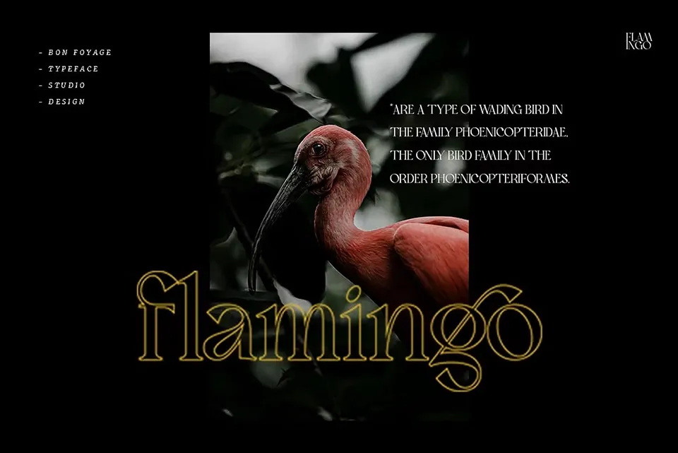 Bon Foyage Serif Font