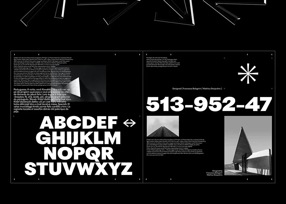 PP Fragment Font Family