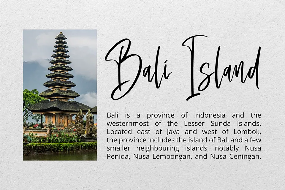 Saturday Lovers Script Font