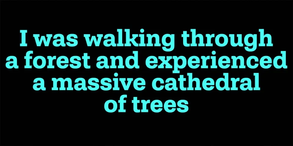 Shandon Slab Font Family