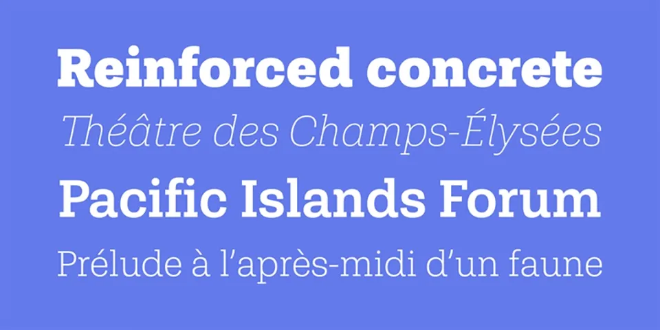 Shandon Slab Font Family