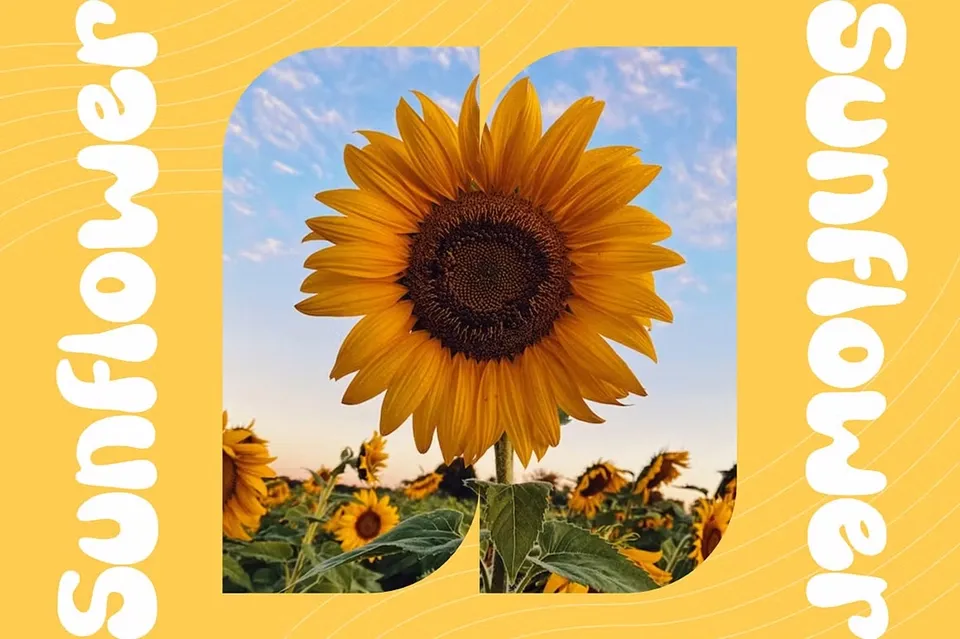 Tingker Kelly Display Font