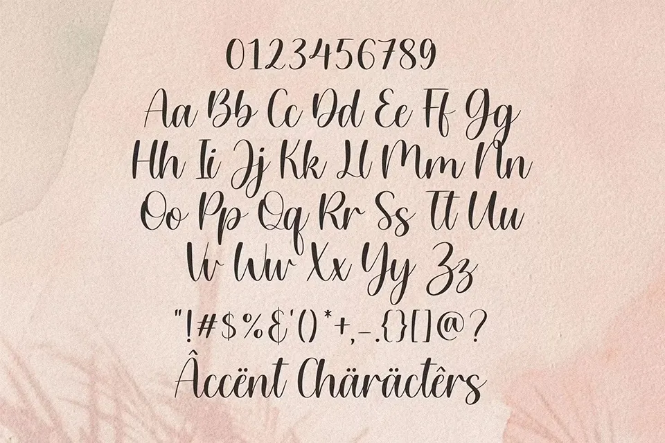 Willow Eden Font