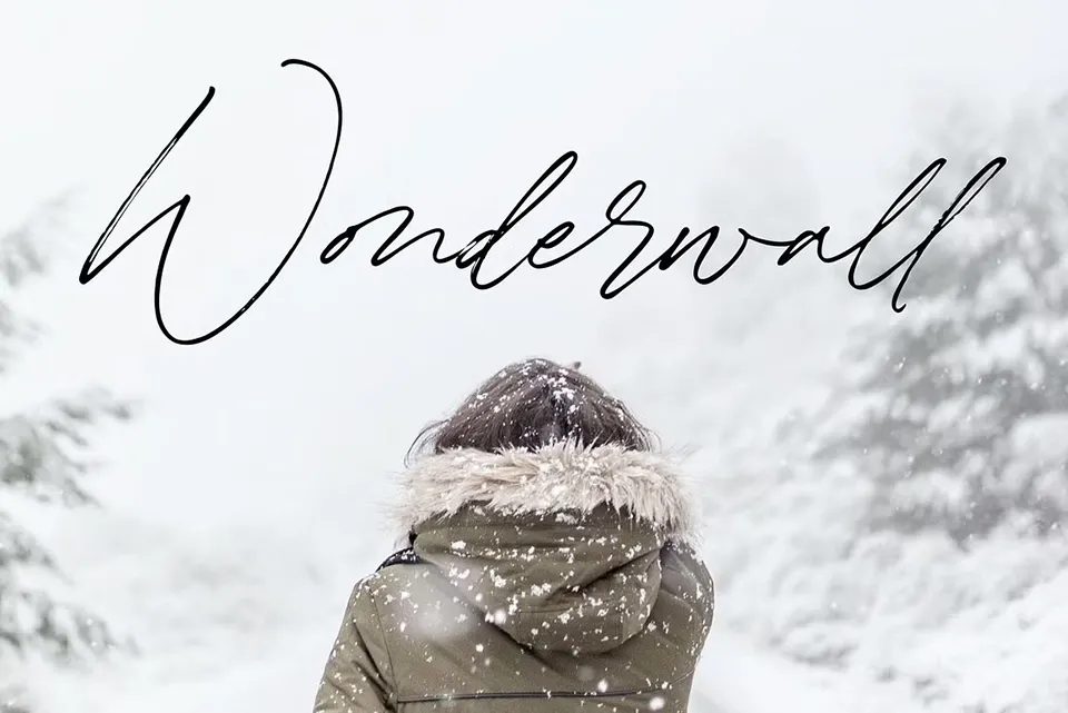 Winterlady Beautiful Font