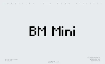 BM Mini Font