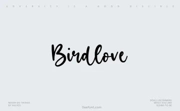 Birdlove Font