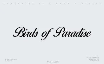 Birds of Paradise Font