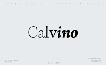 Calvino Font Family