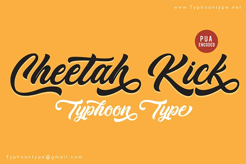 Cheetah Kick Font