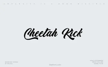 Cheetah Kick Font