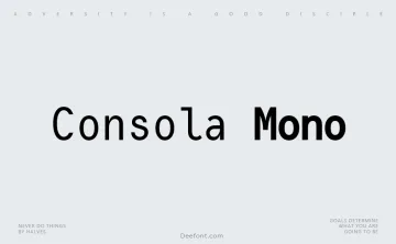 Consola Mono Font