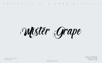 Mister Grape Font