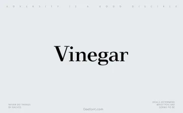 Vinegar Font