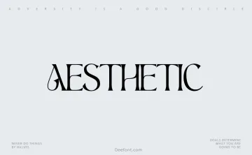 Aesthetic Serif Font