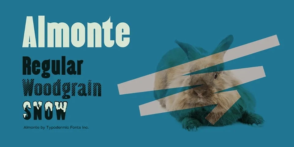 Almonte Snow Font