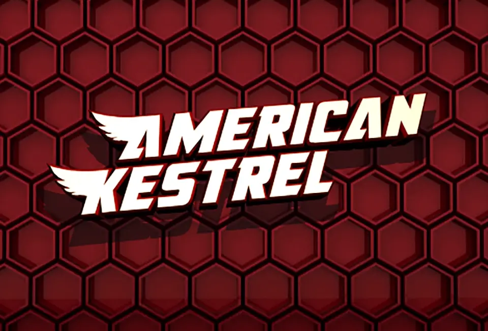 American Kestrel Font