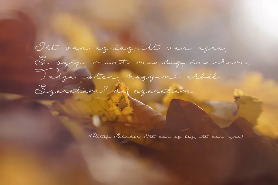 Autumn Chant Font