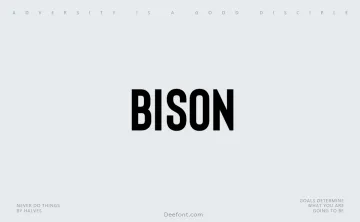 Bison Font