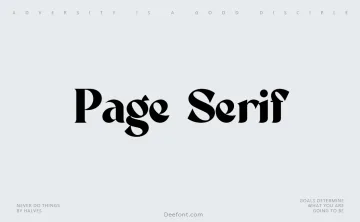 Page Serif Font