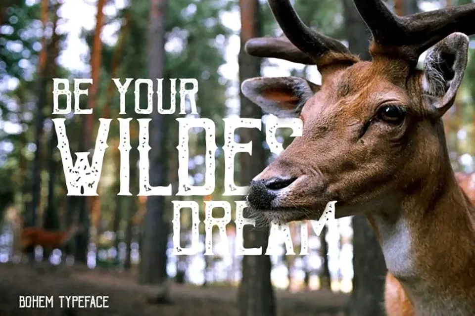 Bohem Press Font