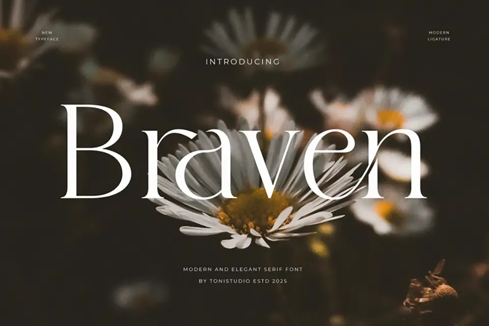 Braven Font