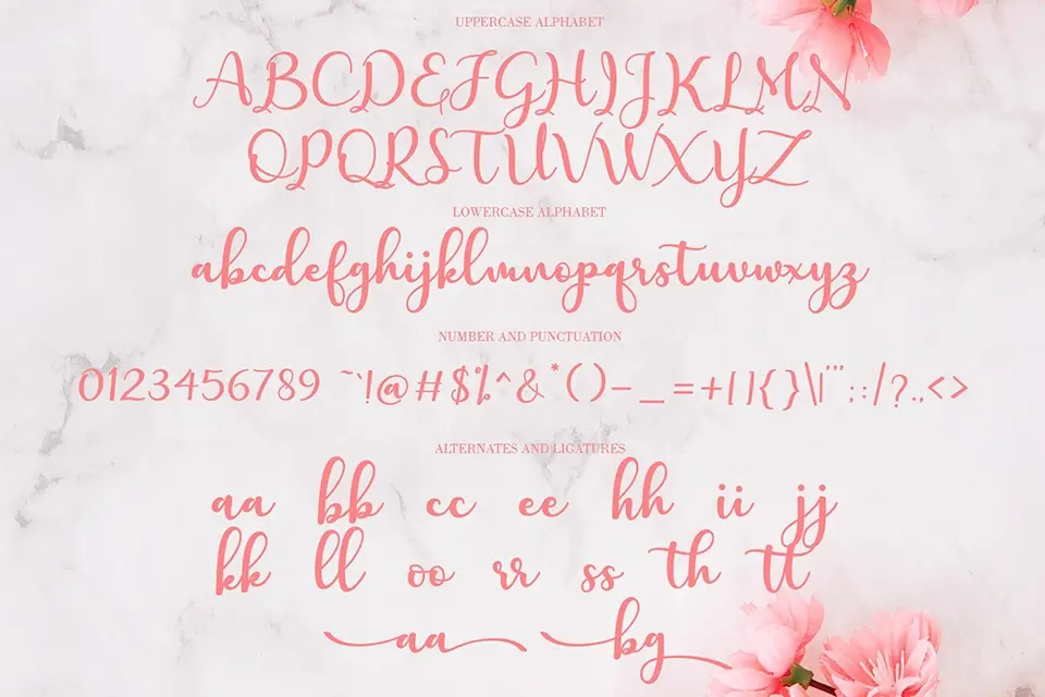Charlotte Font