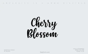 Cherry Blossom Script Font