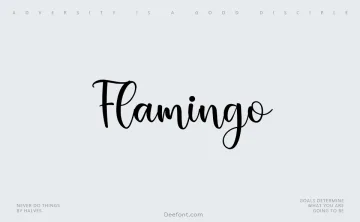 Flamingo Font