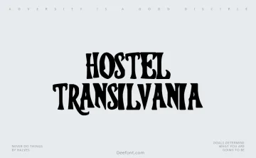 Hostel Transilvania Font