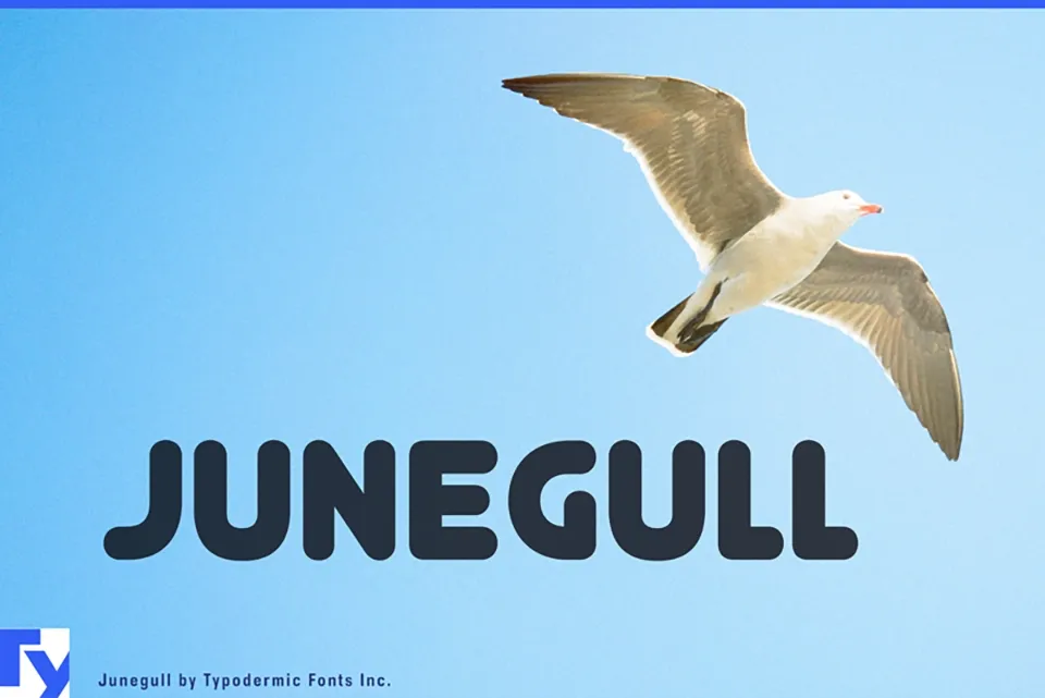 Junegull Font