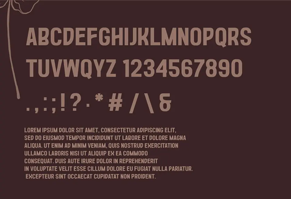Kanopi Brazil Font