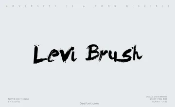 Levi Brush Font