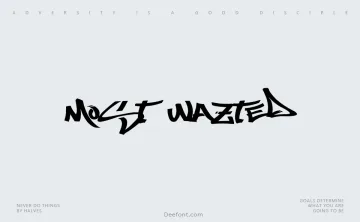 Most Wazted Font