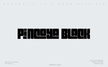 Pincoya Black Font