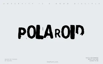 Polaroid 22 Font