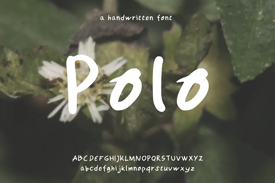 Polo Font