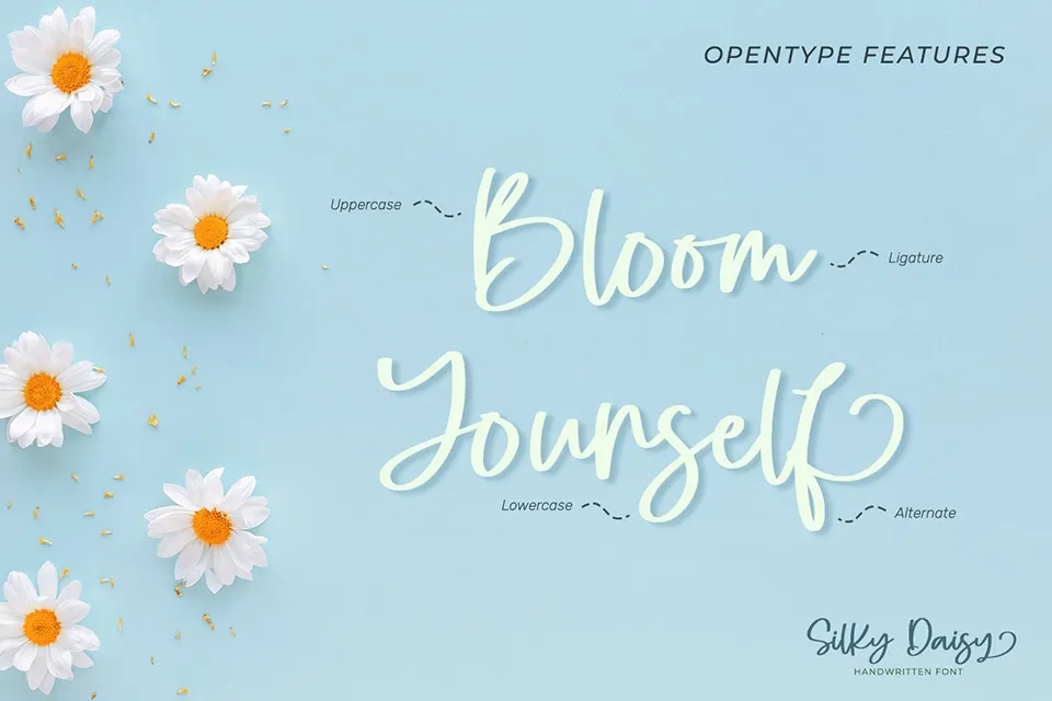 Silky Daisy Font