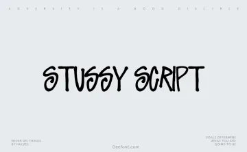 Stussy Script Font