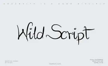 Wild Script Font