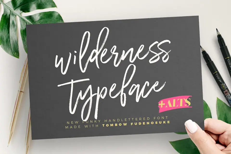 Wilderness Typeface Font