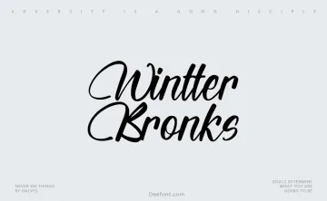 Wintter Bronks Font